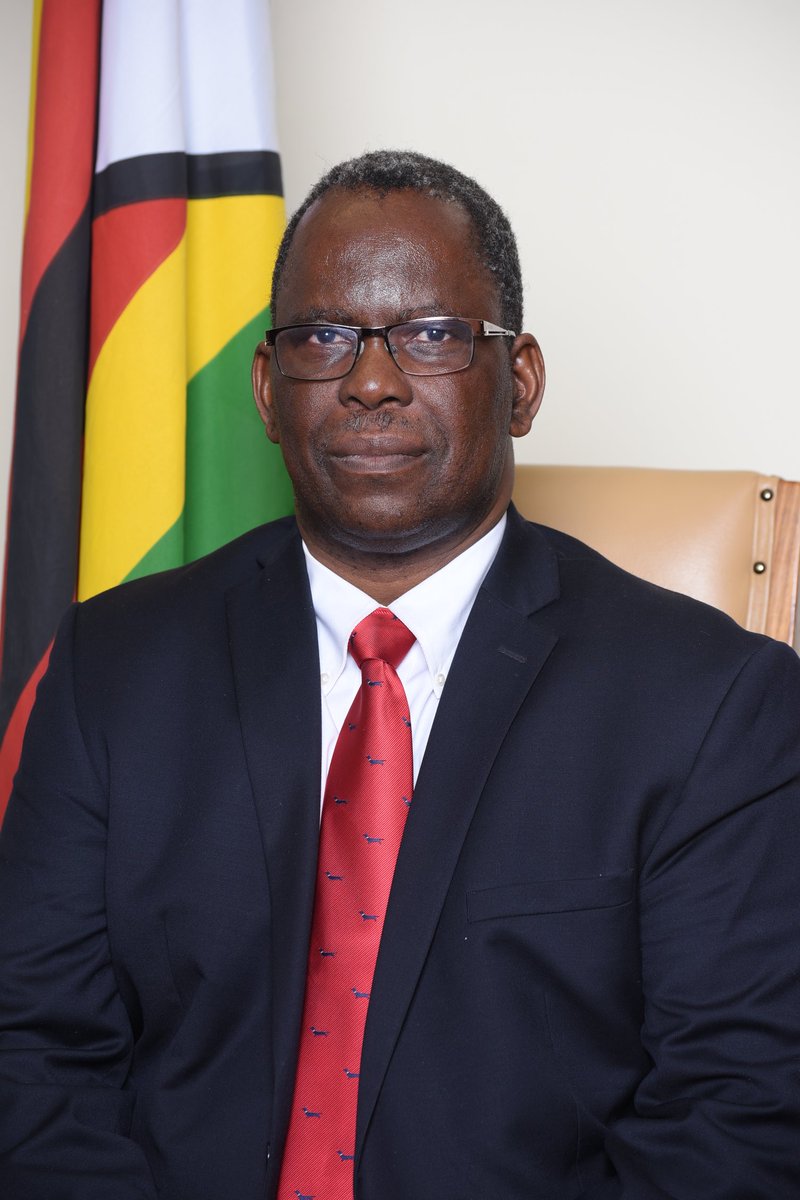 Prof F. Tagwira - Permanent Secretary